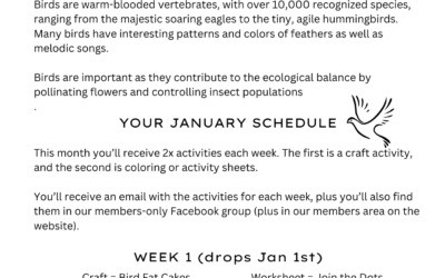 Beautiful Birds Newsletter