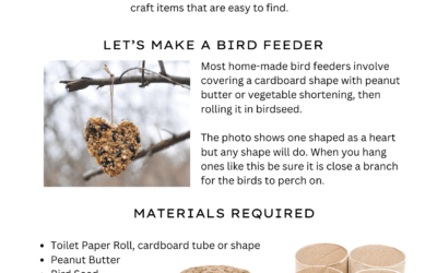 Make a Bird Feeder