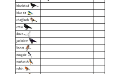 Bird Spotting Worksheet