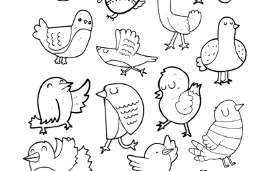 Funny Bird Coloring