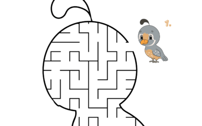 Maze Bird