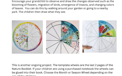 Phenology Wheel to Study Nature