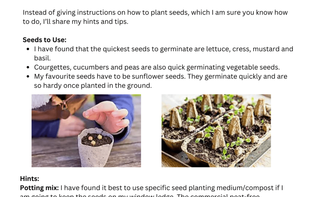 Planting Seeds