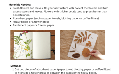 Pressed Flowers