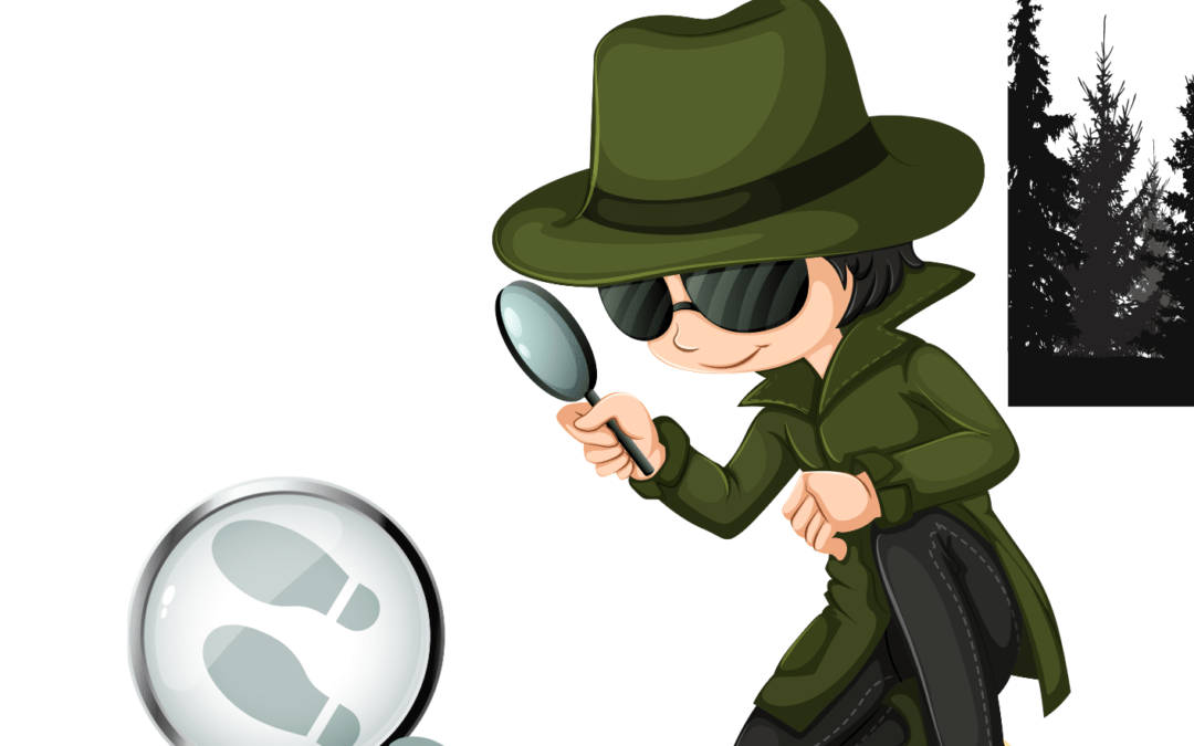 Detectives Solve the Mysteries